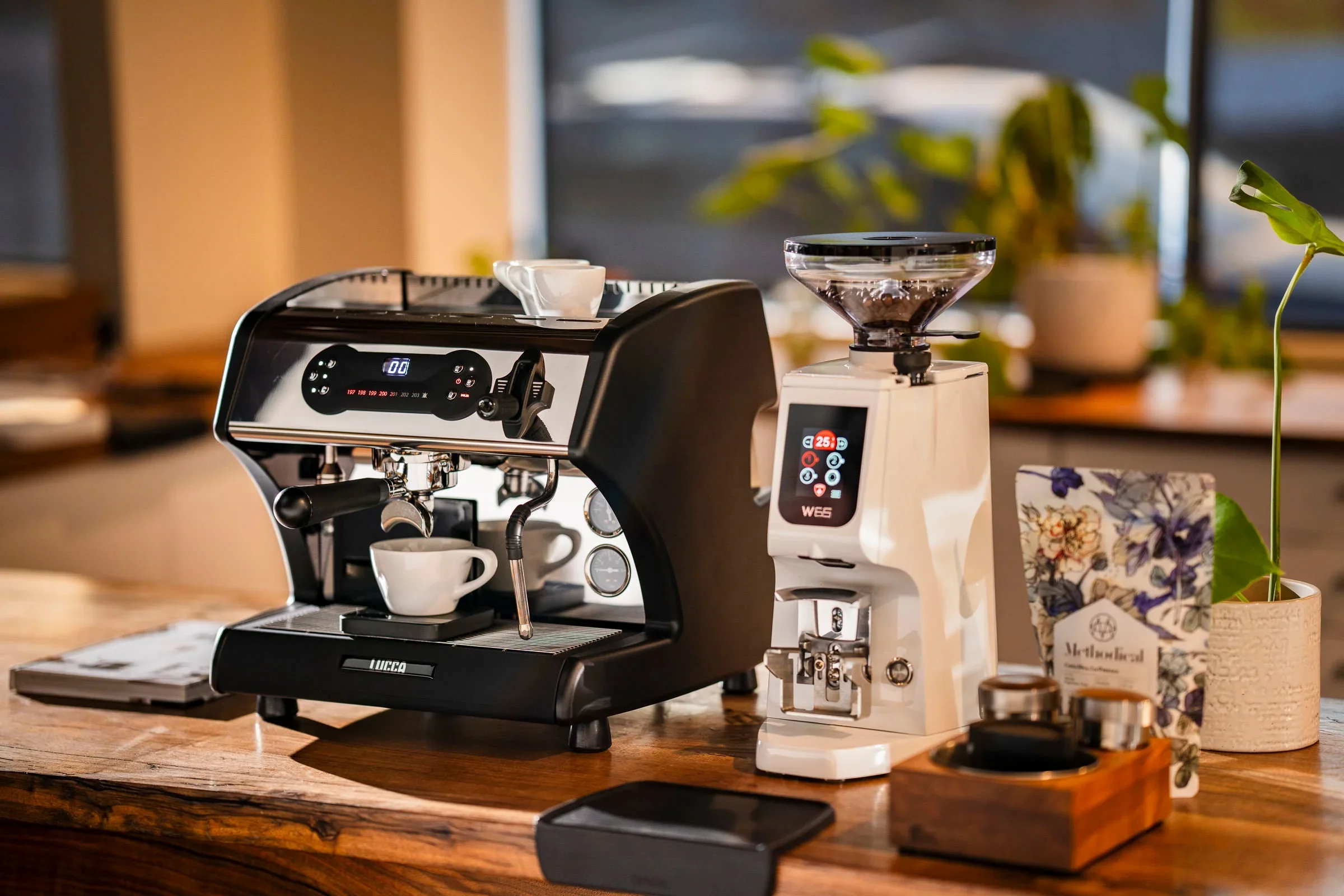 Master Your Morning Ritual