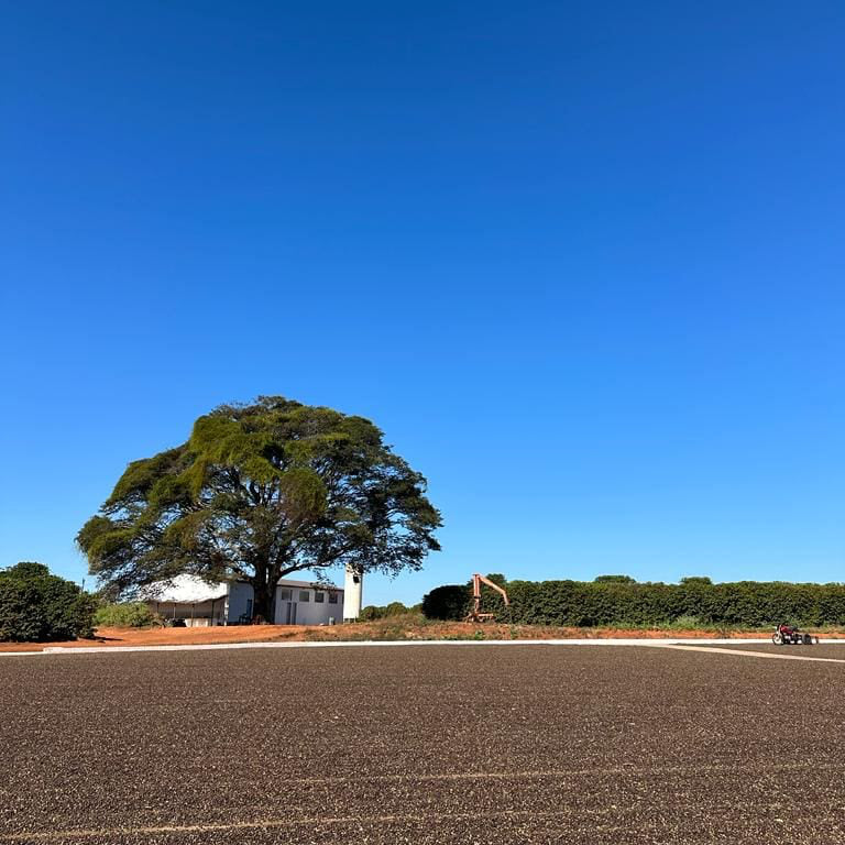 BRAZIL FAZENDA FRUTAS - Image 4