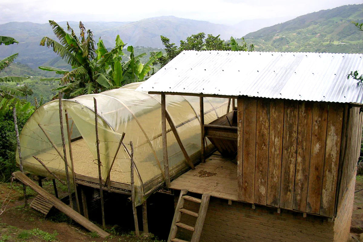 Bright Minds - Colombia - Image 3