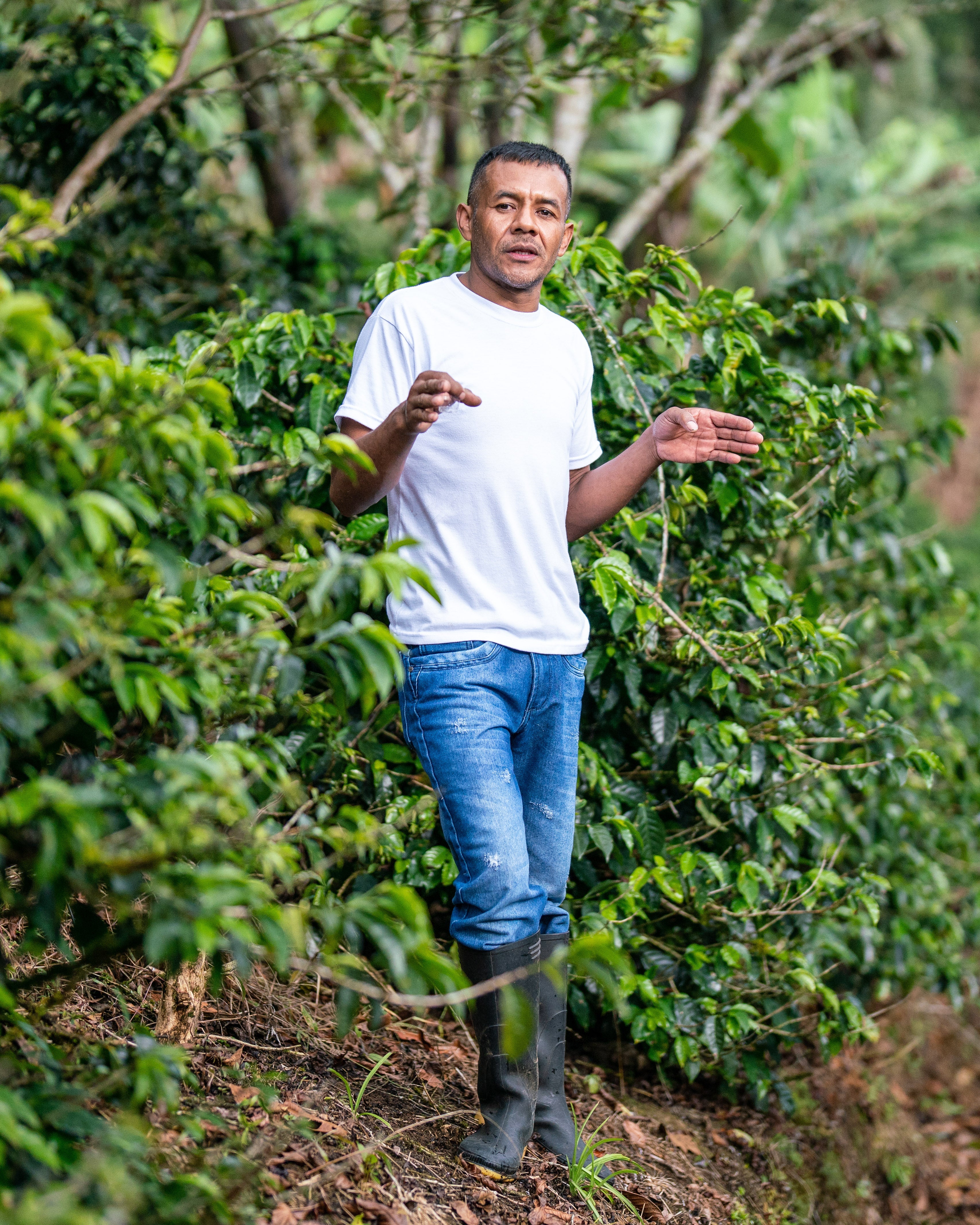 Colombia Nariño - Image 6