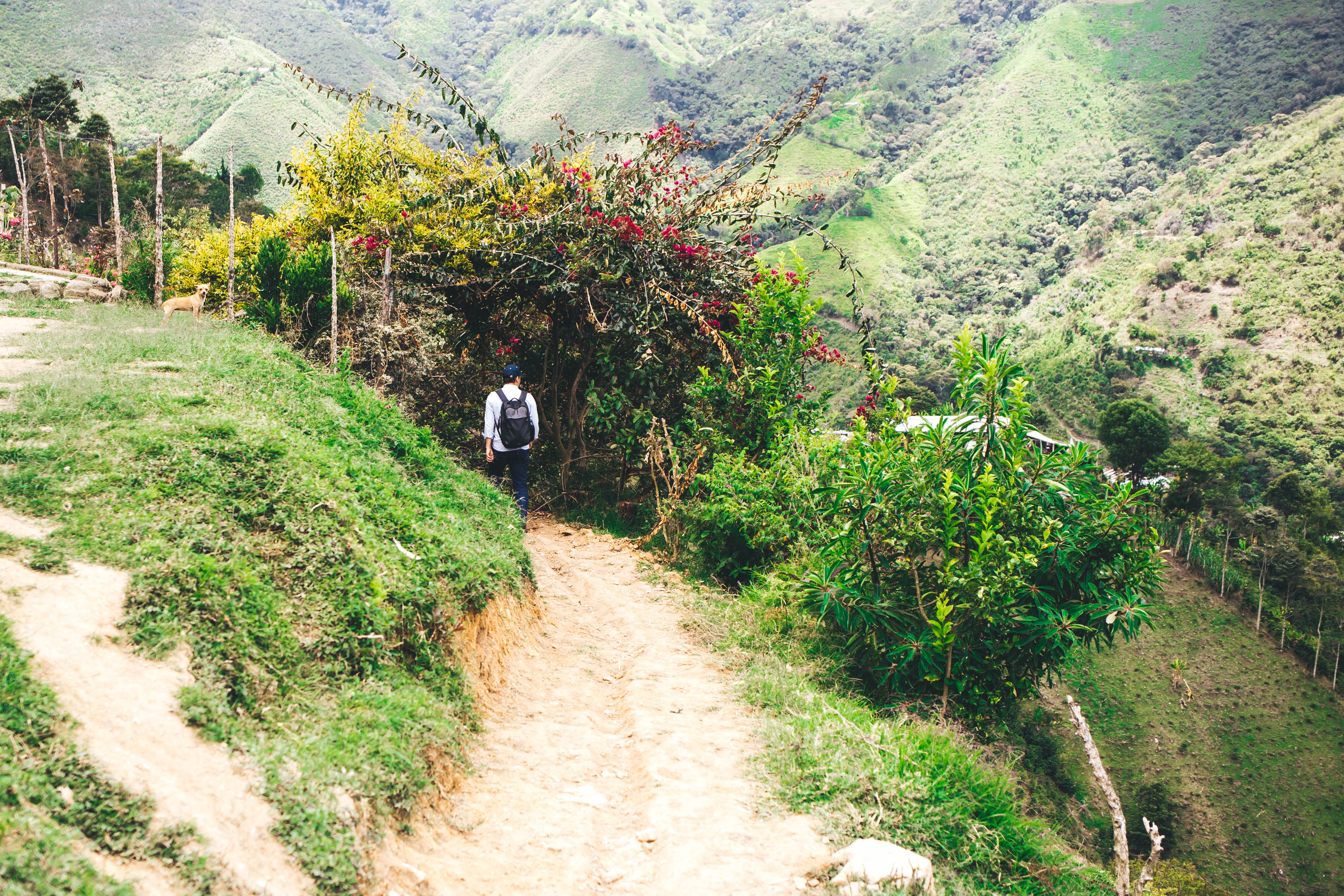 Colombia San Sebastián Reserva - Image 4