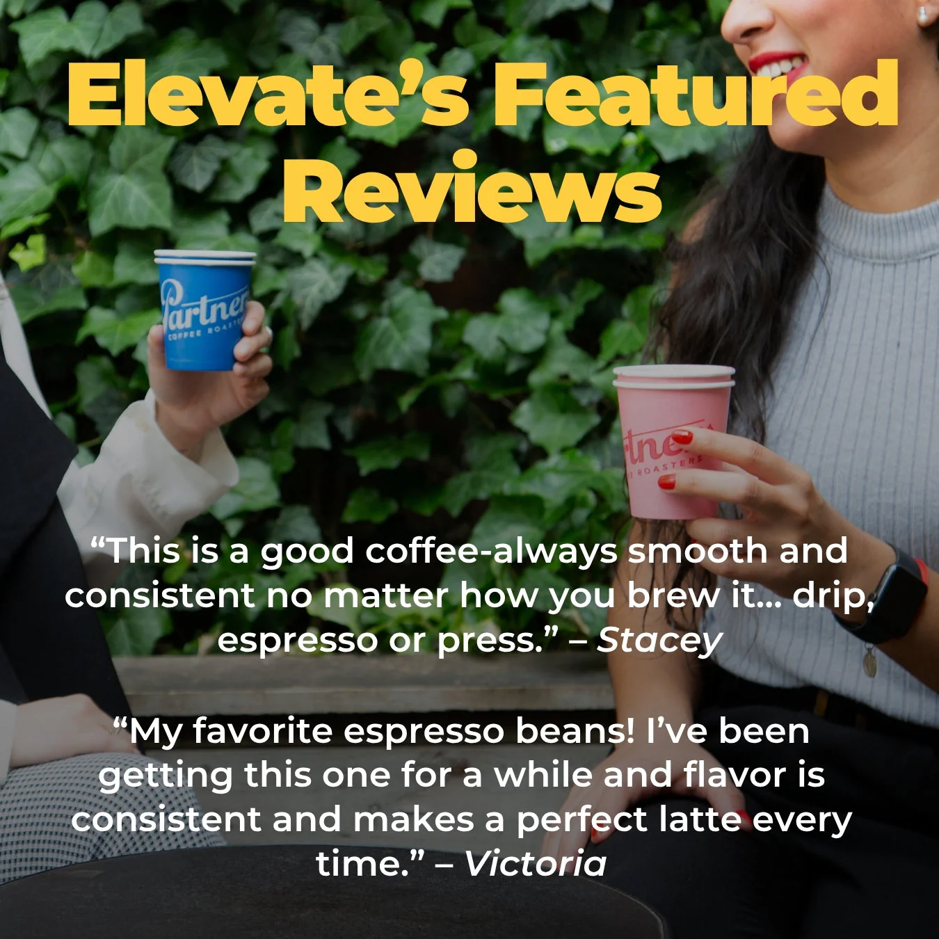 Elevate - Image 5