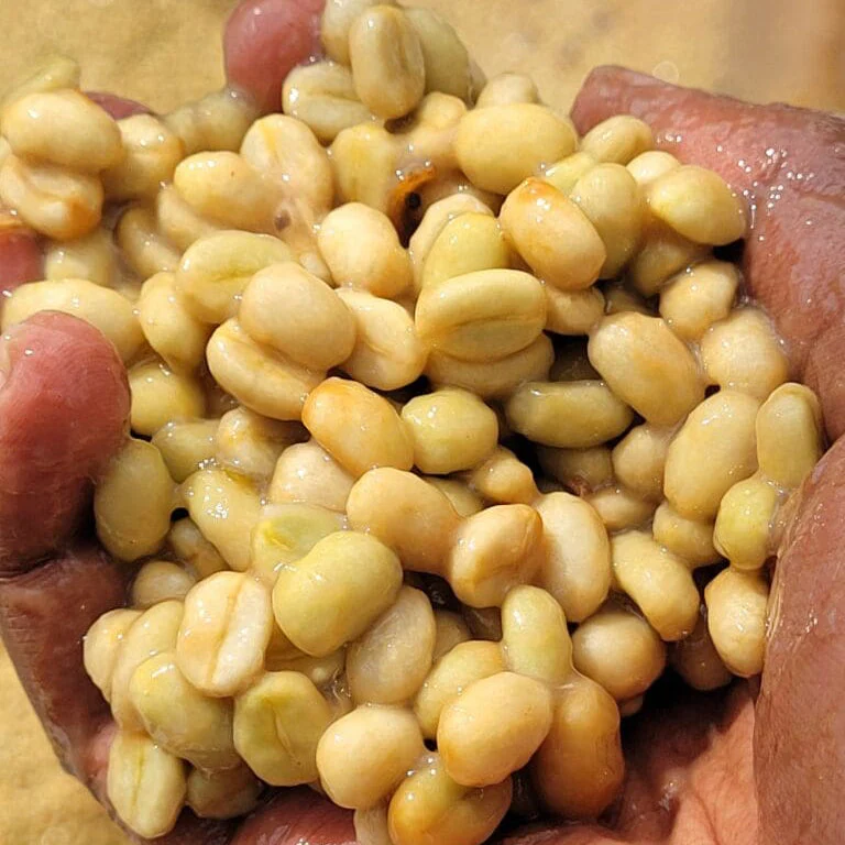 ETHIOPIA BIRUHI - Image 9