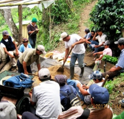 Norandino ESPRESSO - Image 6
