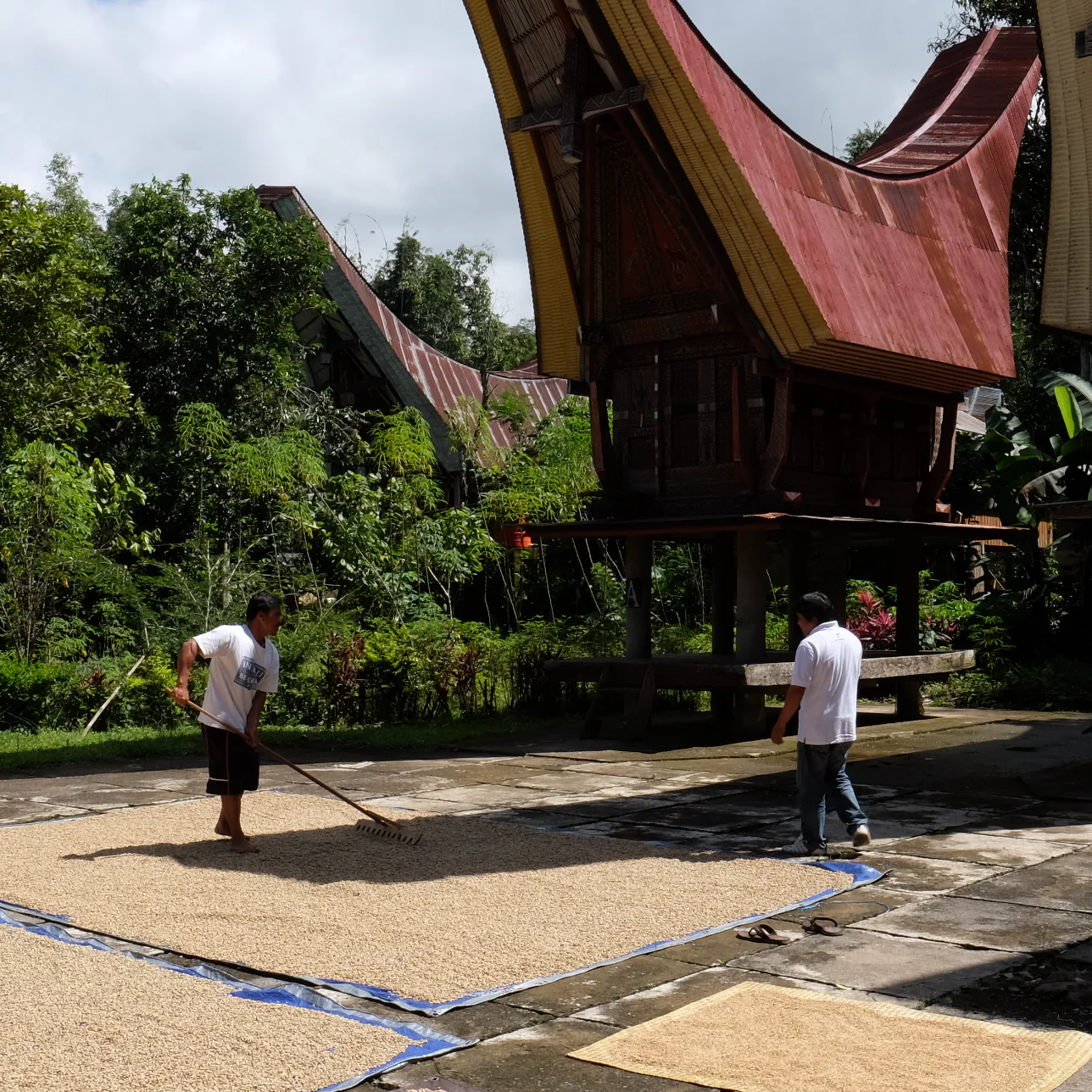 SUMATRA BEBAGI KEPADA - Image 6